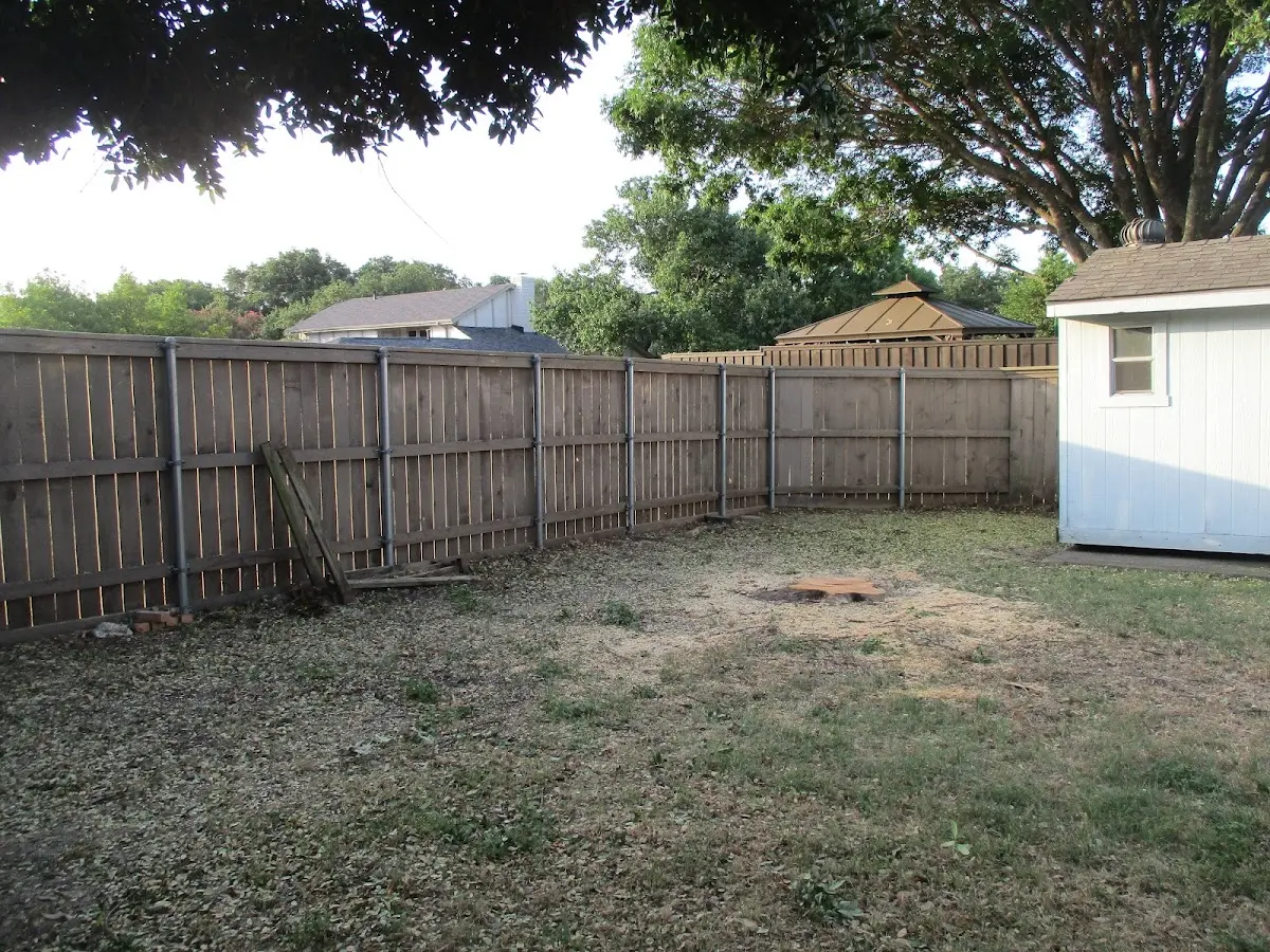 Cleared yard after professional tree removal in Bird City